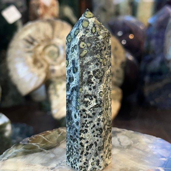 🎄SALE🎄Kambaba Crystal Point! - Picture 1 of 4